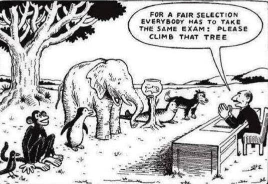 Education visual